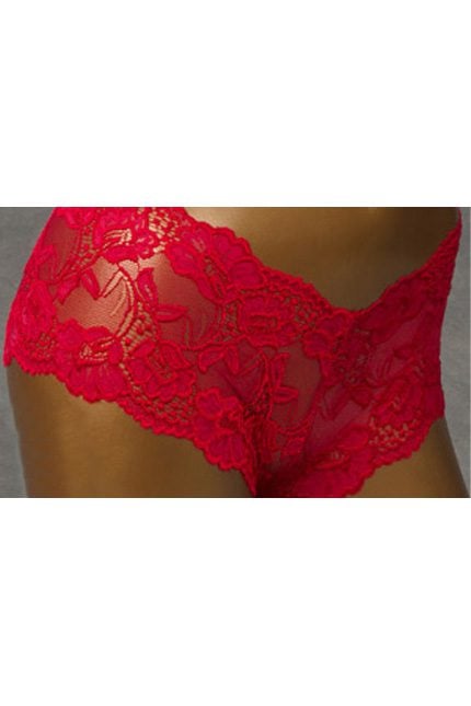 TRANSFORM See-Thru Lace Panty