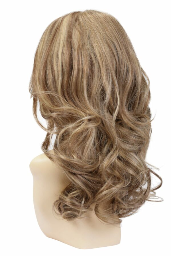 R12/26H Light brown with golden blonde highlights on top